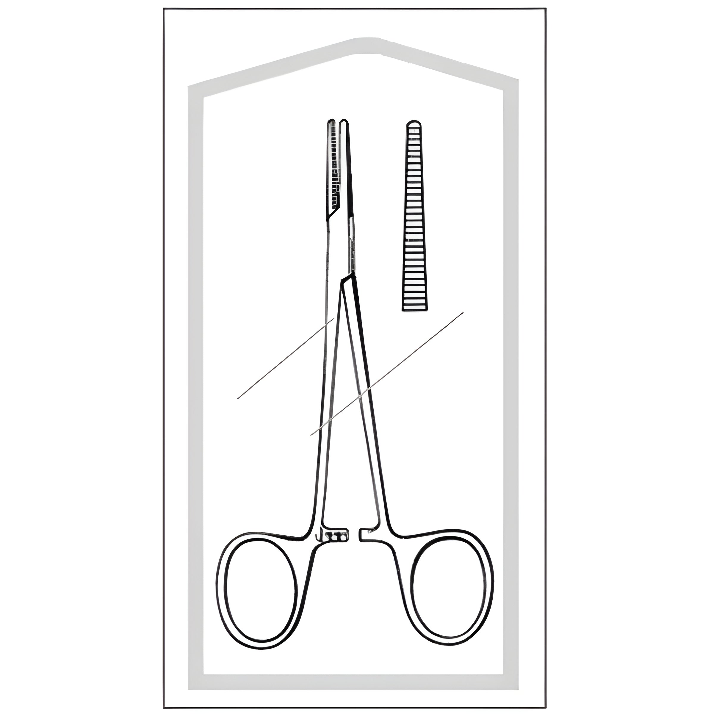 Mosquito Forceps Econo Sterile Halsted 5 Inch